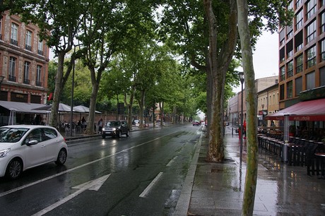 Albi