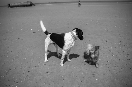 arromanches-les-bains