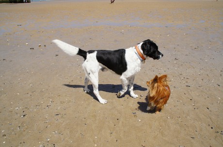 arromanches-les-bains