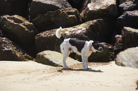 arromanches-les-bains