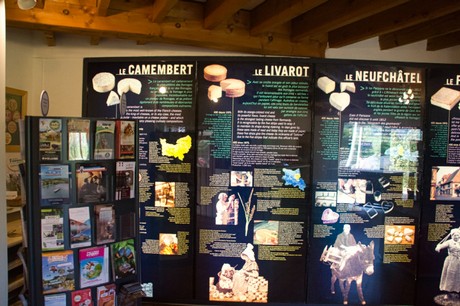 Camembert