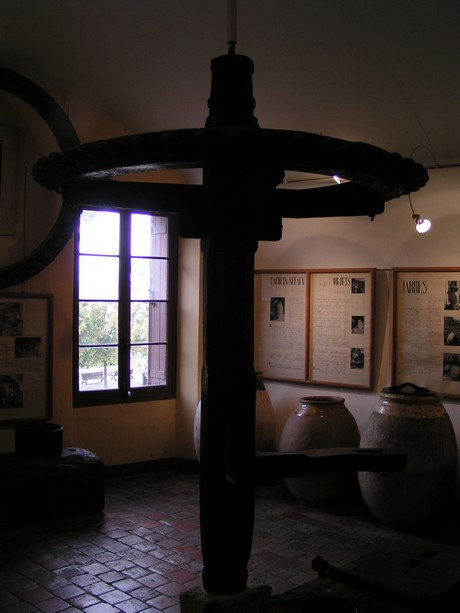 cagnes-sur-mer-museum