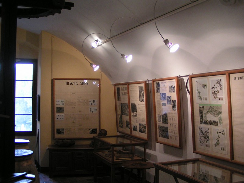 cagnes-sur-mer-museum