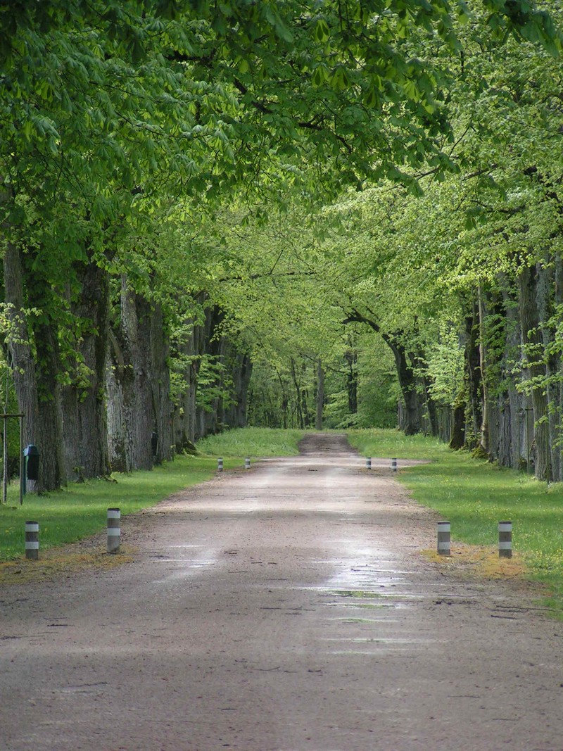 chenonceaux-aussen