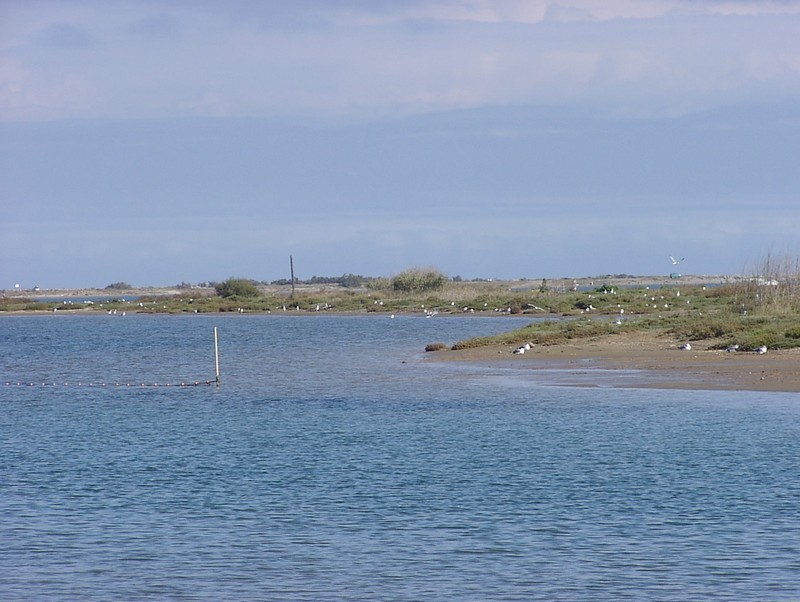 gruissan-strand