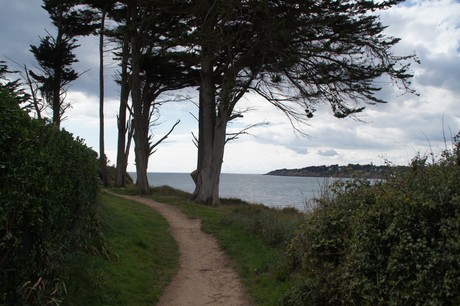 kerfany-les-pins