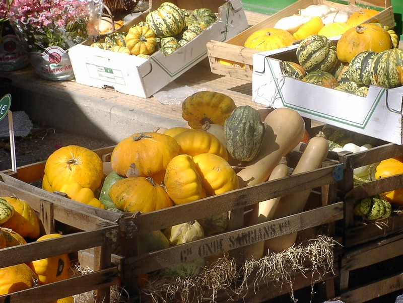 l-lsle-sur-la-sorgue-markt