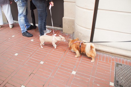 le-touquet-paris-plage