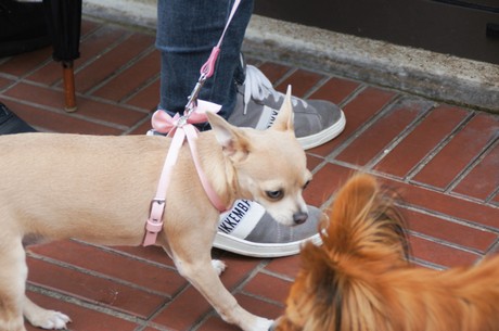 le-touquet-paris-plage
