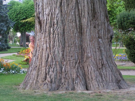 loches-park