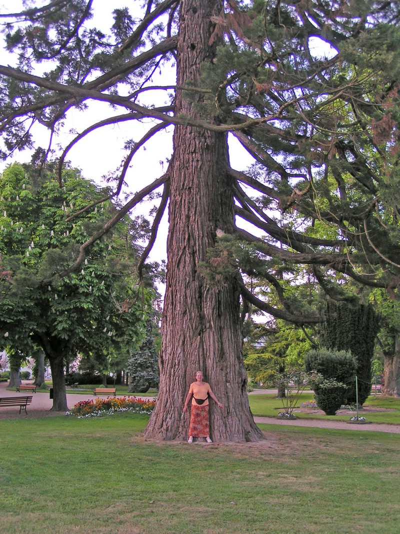 loches-park