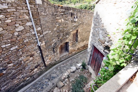 minerve