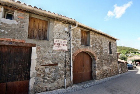 minerve