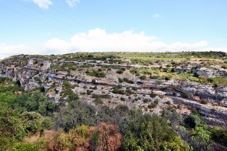 minerve
