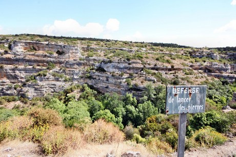 minerve