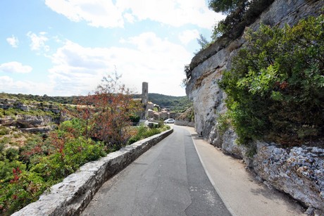 minerve