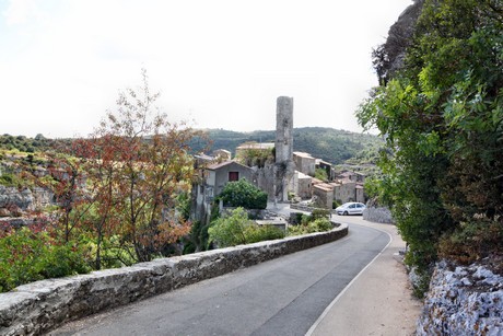 minerve