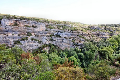 minerve