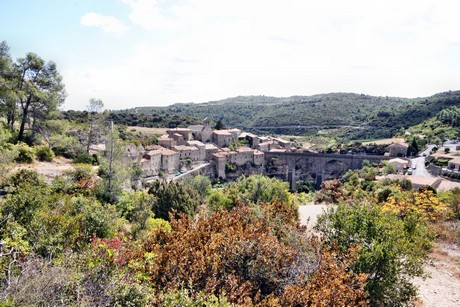 minerve