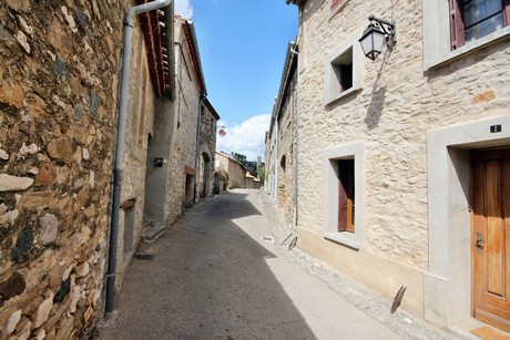 minerve