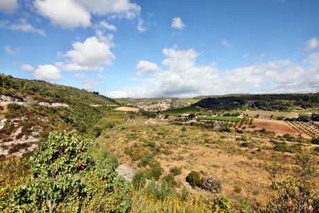 minerve