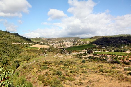 minerve