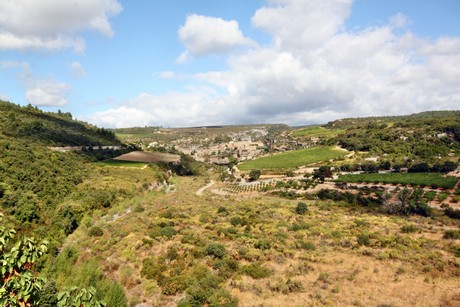 minerve