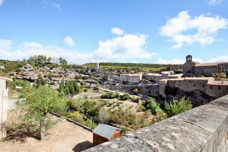 minerve
