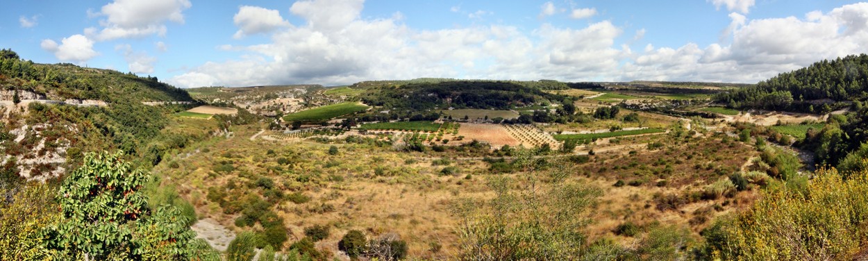 Minerve