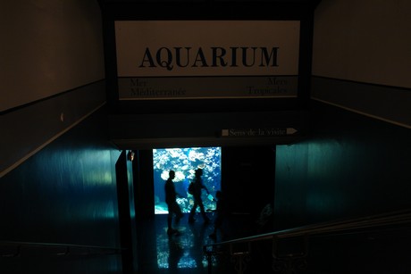 aquarium