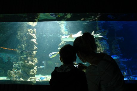 aquarium