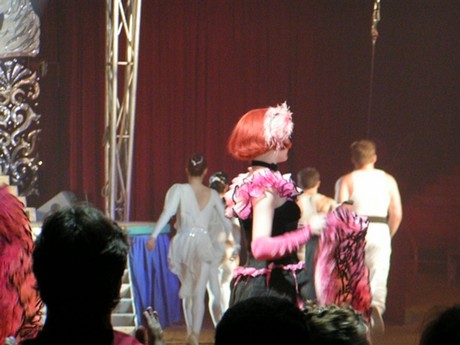 zirkus-festival