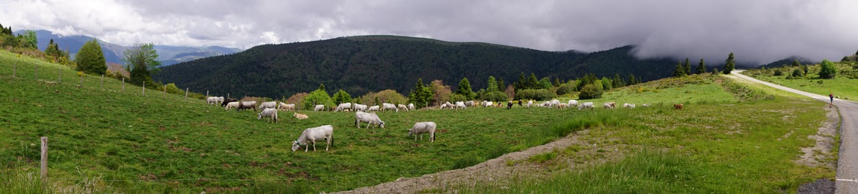 Plateau de Beille