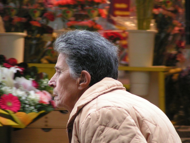 nizza-altstadt