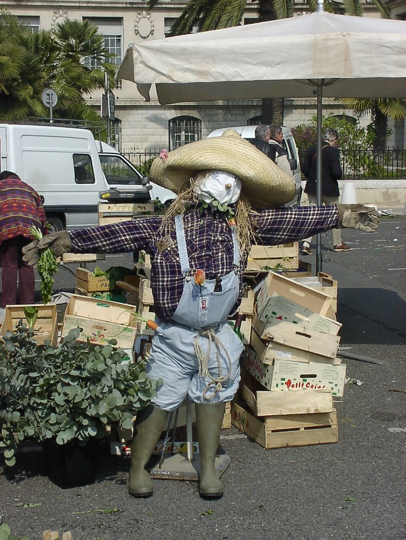 nizza-blumenmarkt