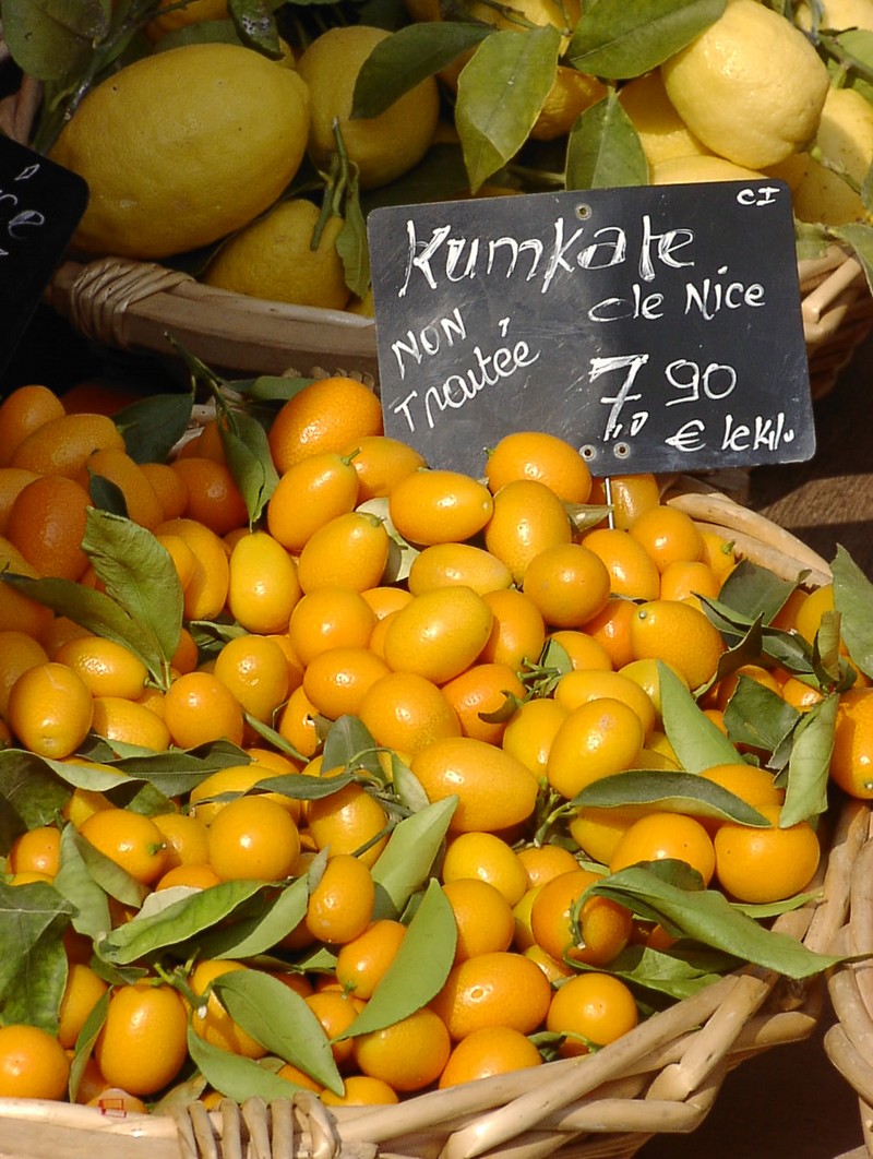 nizza-blumenmarkt