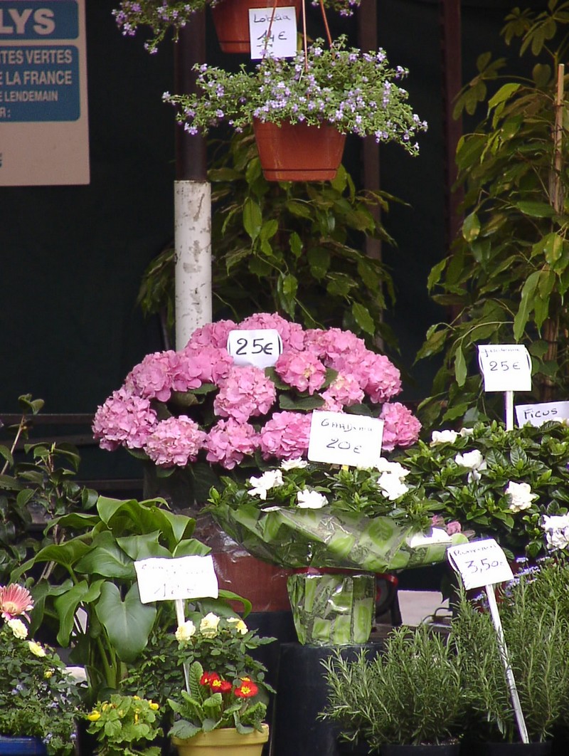 nizza-blumenmarkt
