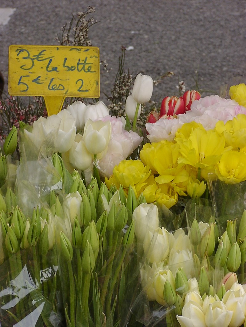 nizza-blumenmarkt