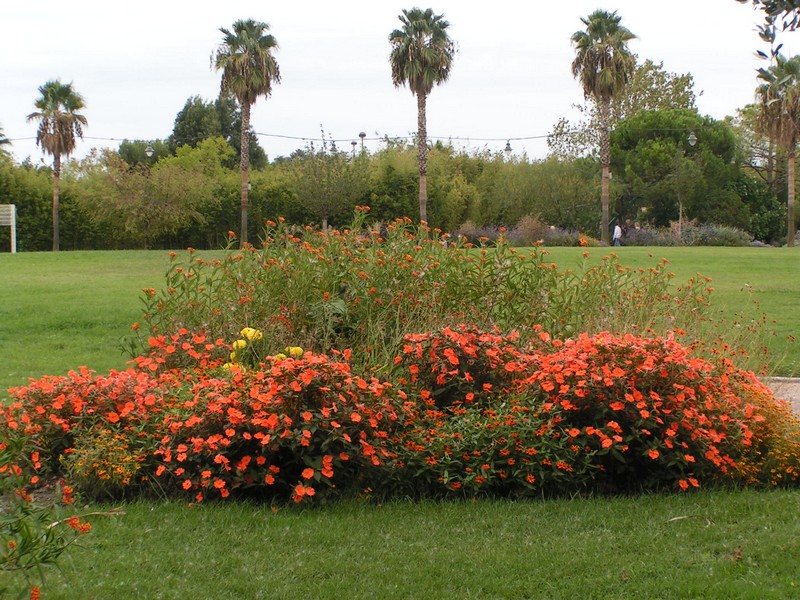 nizza-parc-phoenix
