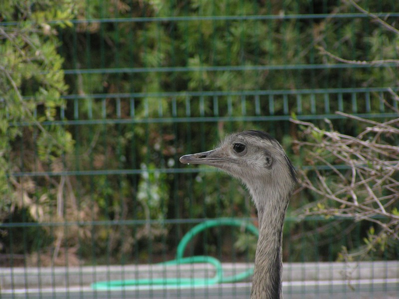nizza-parc-phoenix