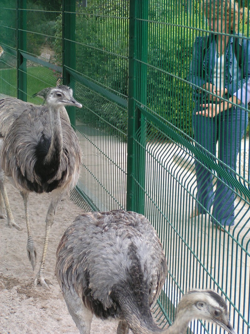 nizza-parc-phoenix
