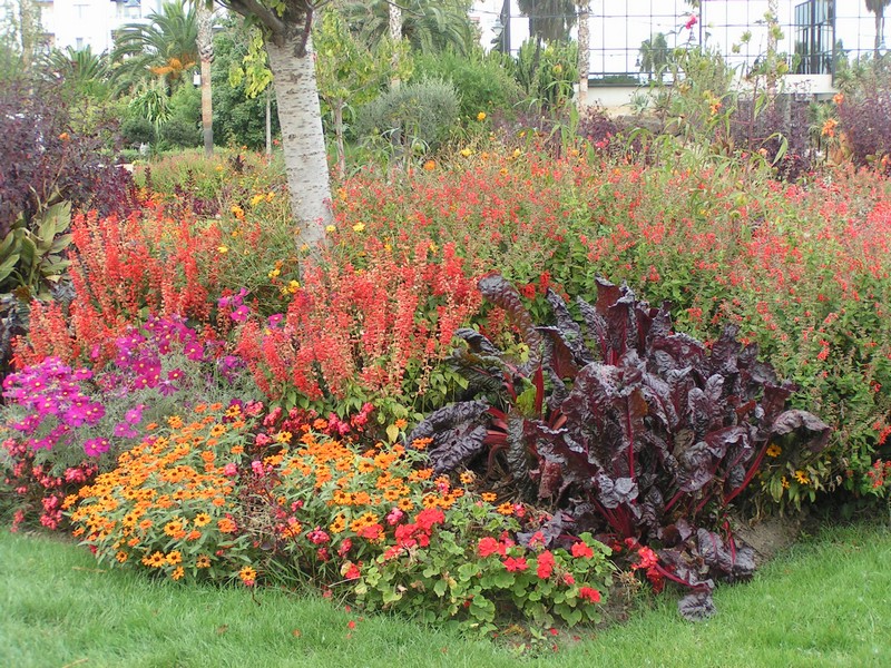 nizza-parc-phoenix