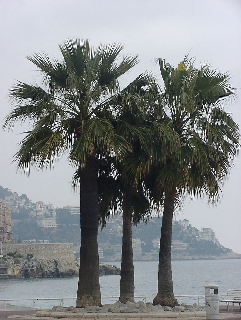 nizza-strand
