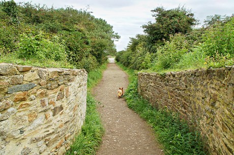 pointe-des-espagnols