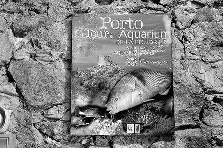 porto-aquarium