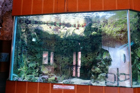 porto-aquarium