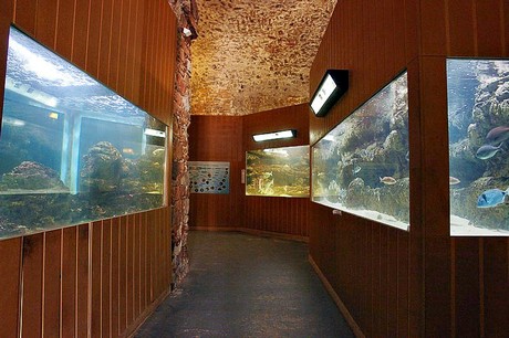 porto-aquarium