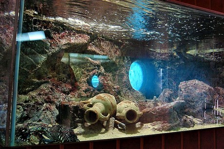 porto-aquarium