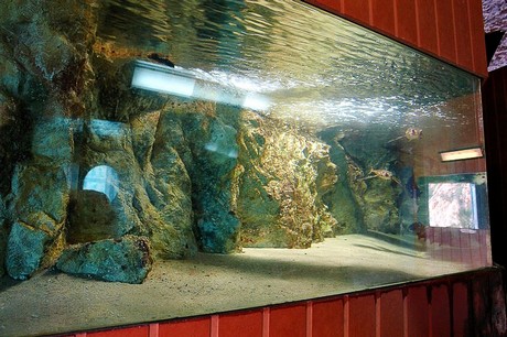 porto-aquarium