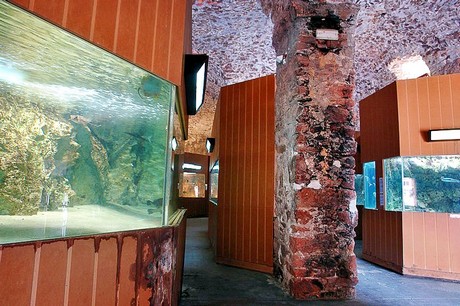 porto-aquarium